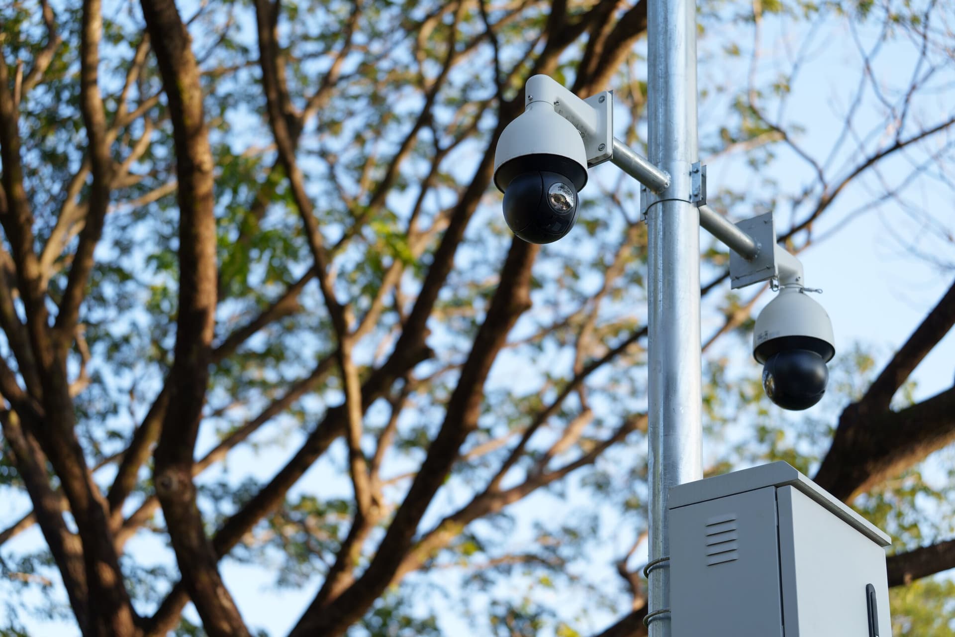 Dome surveillance cameras mounted on a pole near green trees